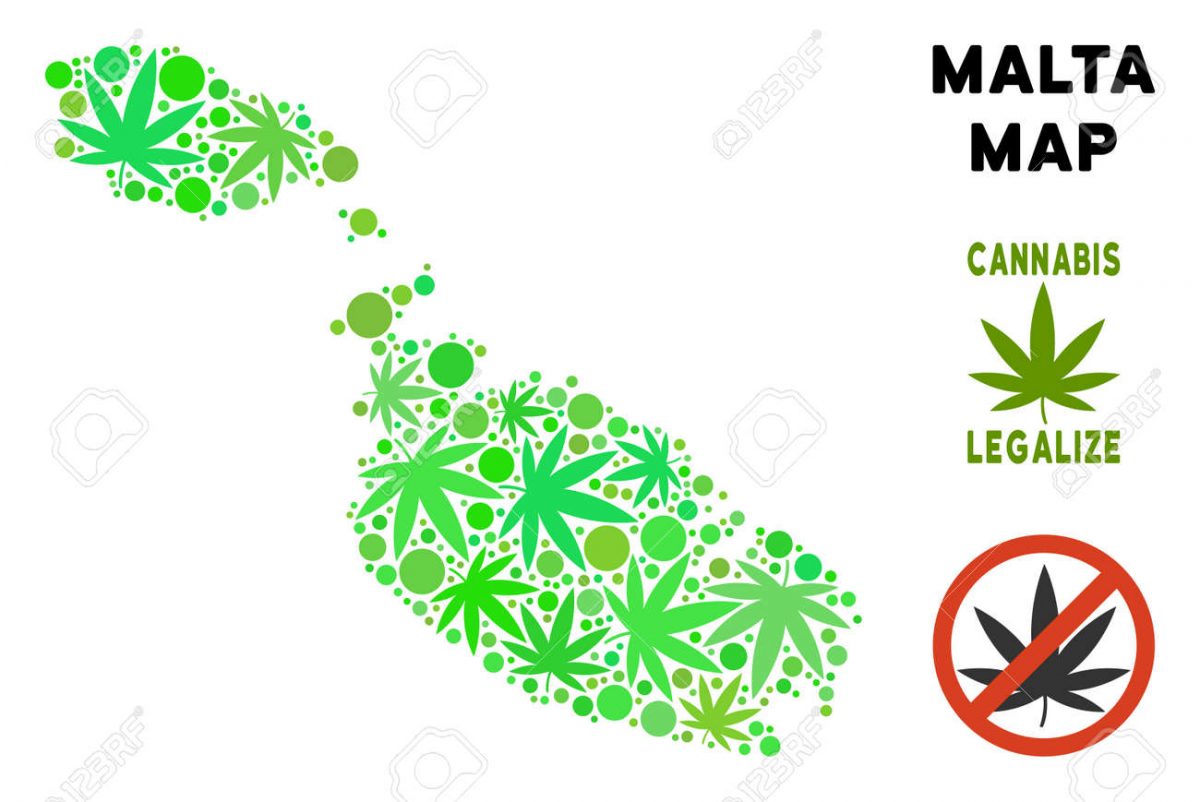 Мальта и марихуана если коноплю растить без лампы